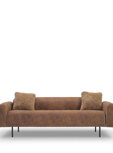 Brown sofa with two cushions on a white background
